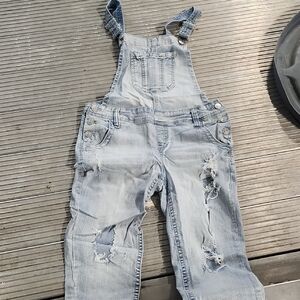 Wallflower Bib Overalls